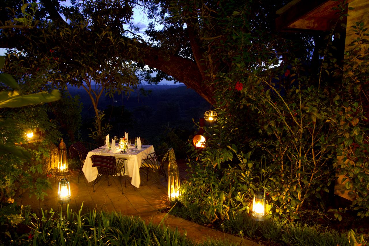 Romantic Garden At Night | www.imgkid.com - The Image Kid Has It!